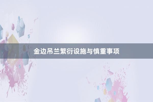 金边吊兰繁衍设施与慎重事项
