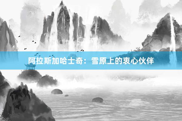 阿拉斯加哈士奇:雪原上的衷心伙伴