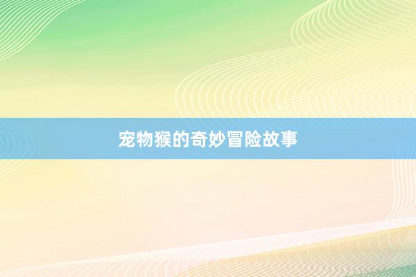 宠物猴的奇妙冒险故事